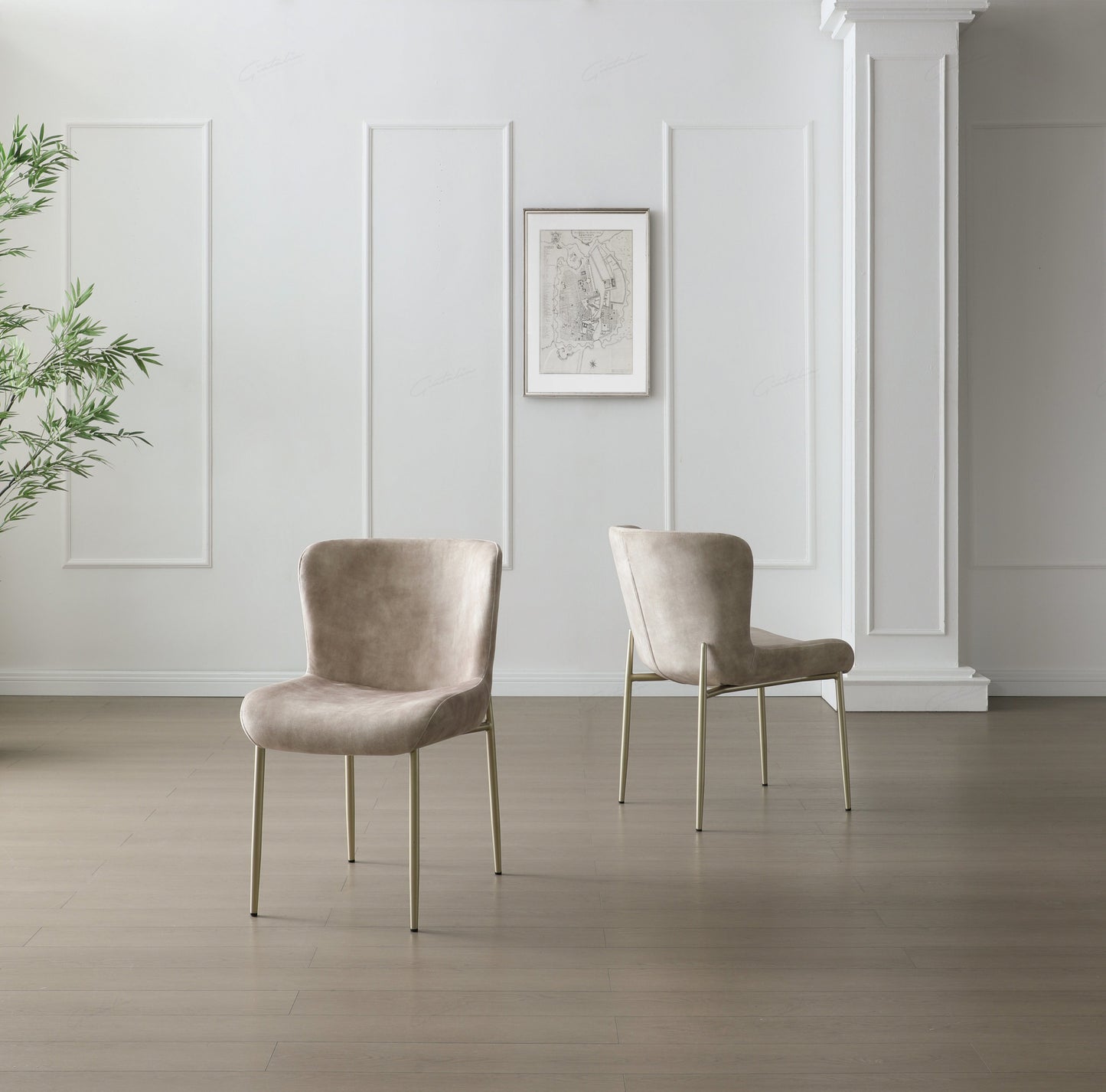 Pietra Champagne Dining Chair