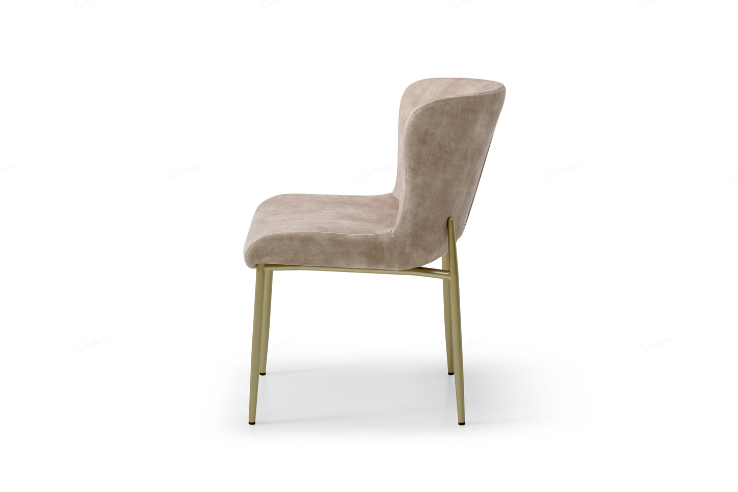 Pietra Champagne Dining Chair